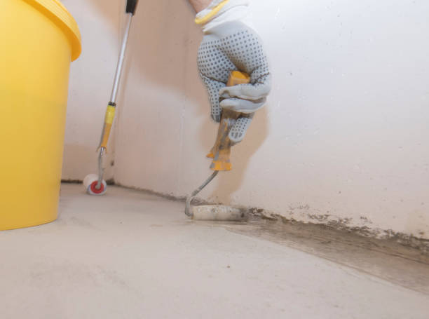 Best Fumigation Services  in Millbrook, NY